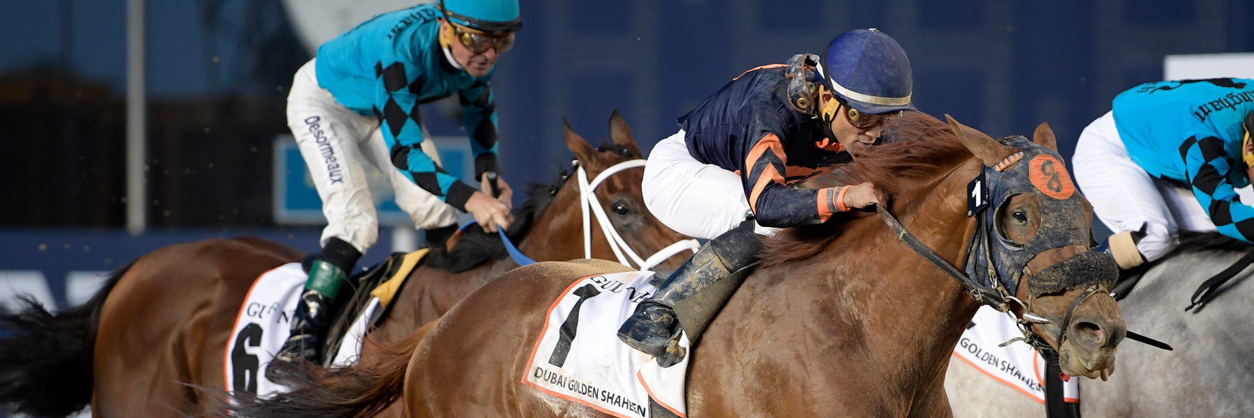 Mind Your Biscuits - 18 Dubai Golden Shaheen - NYB