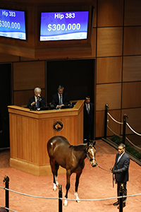 fasig-tipton october american pharoah colt