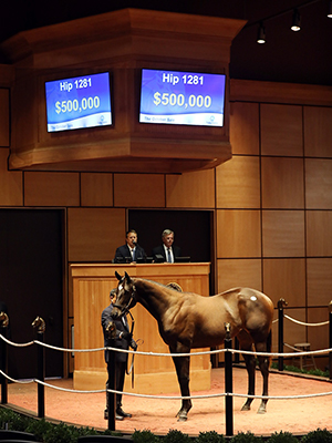 fasig-tipton october sale street sense colt