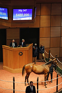 the october sale fasig-tipton 2018 into mischief colt