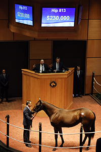 fasig-tipton october sale carpe diem filly